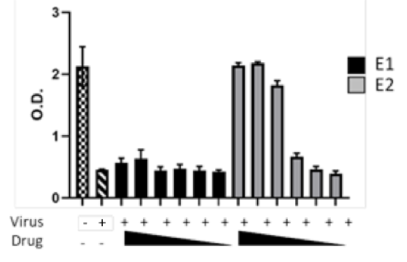 Reduction of COVID-19 viral infection in Vero cells by compounds DD011-E2, and DD011-E1.