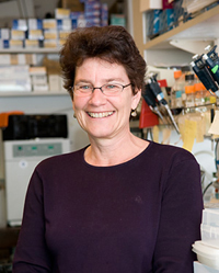 Suzanne L. Mansour