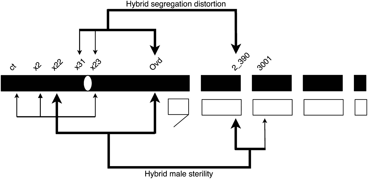 Figure: The Endosomal System of Eukaryotic Cells