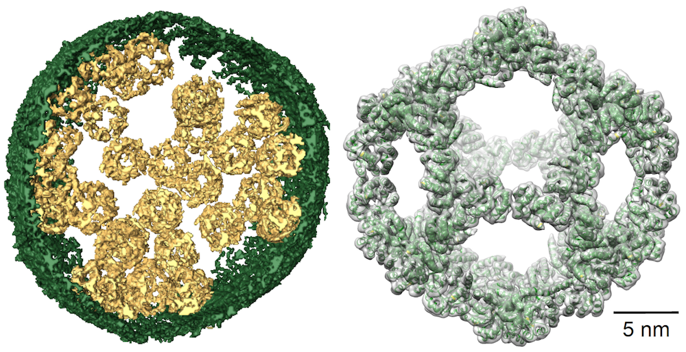 Sundquist Figure Two